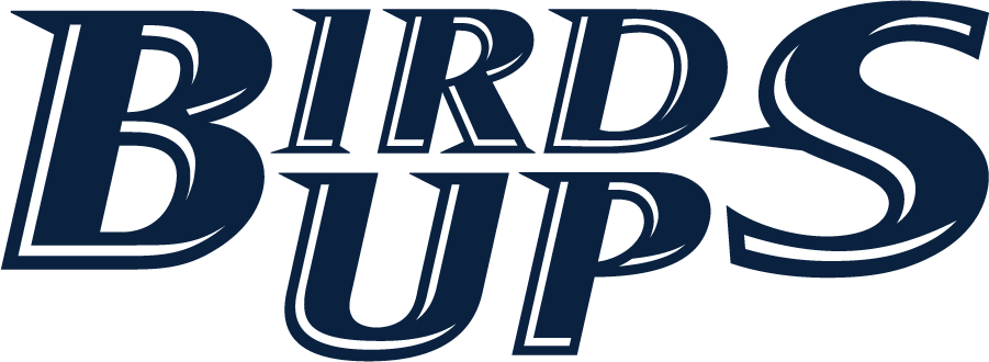 Texas-SA Roadrunners 2022-Pres Wordmark Logo diy iron on heat transfer